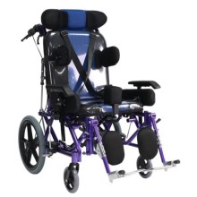 Poylin P958 Yetişkin Spastik Tekerlekli Sandalye