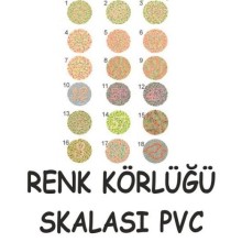 Renk Körlüğü Skalası
