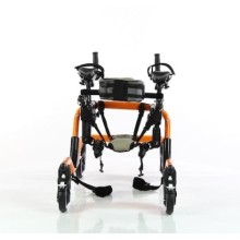 WG-W943 Pediatrik Walker