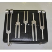 Mesitas Dyapazon Set 5'li