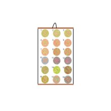 Renk Körlüğü Test Skalası