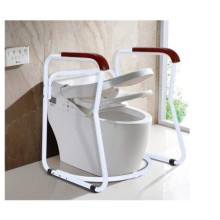 Engelli Yaşlı Tuvalet Doğrulma Destek Barı